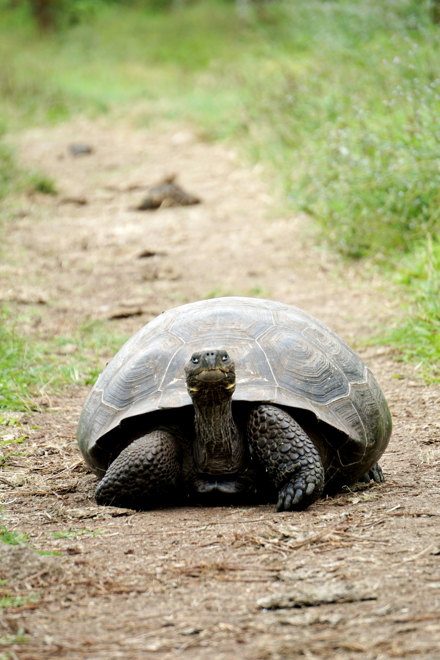 The Philosophy Behind Slow and Steady Reporting